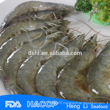 HL002 shrimp exporters whole vannamei shrimp